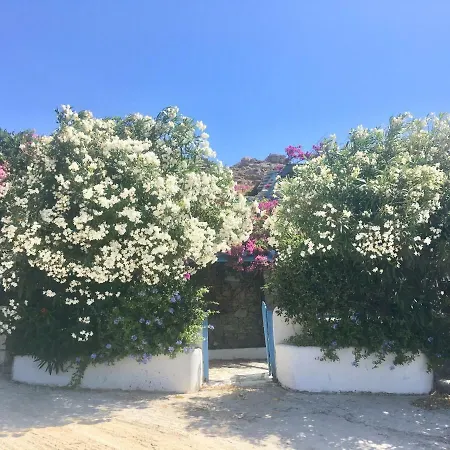 Pool Maisonette